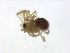  ( - BIOUG90618-E11)  @11 [ ] CreativeCommons - Attribution Non-Commercial Share-Alike (2022) Centre for Biodiversity Genomics Centre for Biodiversity Genomics
