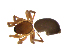  (Tapinocyba sp. 2MM - BIOUG90618-G07)  @11 [ ] CreativeCommons - Attribution Non-Commercial Share-Alike (2022) Centre for Biodiversity Genomics Centre for Biodiversity Genomics