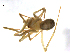  ( - BIOUG90618-G09)  @11 [ ] CreativeCommons - Attribution Non-Commercial Share-Alike (2022) Centre for Biodiversity Genomics Centre for Biodiversity Genomics