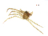  (Paratheridula - BIOUG90618-H07)  @11 [ ] CreativeCommons - Attribution Non-Commercial Share-Alike (2022) Centre for Biodiversity Genomics Centre for Biodiversity Genomics