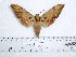  ( - BC-Mel 1012)  @14 [ ] Copyright (2010) Unspecified Research Collection of Tomas Melichar