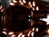  ( - SAC1NFA012)  @12 [ ] CreativeCommons - Attribution  Author: Facundo M. Labarque - MACN-Argentina Museo Argentino de Ciencias Naturales