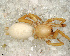  ( - SFC1NCA012)  @12 [ ] CreativeCommons - Attribution Non-Commercial Share-Alike (2010) Author: Luis N. Piacentini - MACN-Argentina Museo Argentino de Ciencias Naturales
