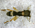  ( - SFU1NAR024)  @13 [ ] CreativeCommons - Attribution Non-Commercial Share-Alike (2010) Author: Luis N. Piacentini - MACN-Argentina Museo Argentino de Ciencias Naturales