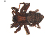  ( - BIOUG01888-A03)  @13 [ ] Copyright  G. Blagoev 2011 Unspecified