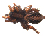  ( - BIOUG01888-D08)  @12 [ ] Copyright  G. Blagoev 2011 Unspecified