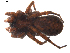  ( - BIOUG01888-E06)  @13 [ ] Copyright  G. Blagoev 2011 Unspecified