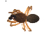  ( - BIOUG01889-B07)  @13 [ ] Copyright  G. Blagoev 2011 Unspecified