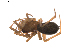  ( - BIOUG01889-C01)  @13 [ ] Copyright  G. Blagoev 2011 Unspecified