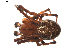  ( - BIOUG01889-C05)  @13 [ ] Copyright  G. Blagoev 2011 Unspecified