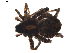  ( - BIOUG01889-C09)  @12 [ ] Copyright  G. Blagoev 2011 Unspecified