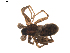  ( - BIOUG01889-C10)  @12 [ ] Copyright  G. Blagoev 2011 Unspecified