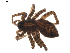  ( - BIOUG01889-C11)  @12 [ ] Copyright  G. Blagoev 2011 Unspecified