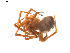  ( - BIOUG01889-F04)  @13 [ ] Copyright  G. Blagoev 2011 Unspecified