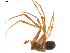  ( - BIOUG01889-F10)  @13 [ ] Copyright  G. Blagoev 2011 Unspecified