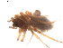  ( - BIOUG01889-F12)  @12 [ ] Copyright  G. Blagoev 2011 Unspecified