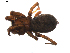  ( - BIOUG01890-A01)  @12 [ ] Copyright  G. Blagoev 2011 Unspecified