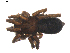  ( - BIOUG01890-A03)  @12 [ ] Copyright  G. Blagoev 2011 Unspecified