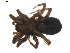  ( - BIOUG01890-A04)  @13 [ ] Copyright  G. Blagoev 2011 Unspecified