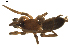  ( - BIOUG01890-C03)  @12 [ ] Copyright  G. Blagoev 2011 Unspecified
