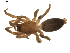  ( - BIOUG01890-C08)  @13 [ ] Copyright  G. Blagoev 2011 Unspecified