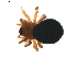  ( - BIOUG01890-E07)  @12 [ ] Copyright  G. Blagoev 2011 Unspecified