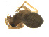  ( - BIOUG01890-F09)  @12 [ ] Copyright  G. Blagoev 2011 Unspecified