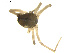  ( - BIOUG01890-F11)  @12 [ ] Copyright  G. Blagoev 2011 Unspecified