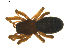  ( - BIOUG01891-A04)  @13 [ ] Copyright  G. Blagoev 2011 Unspecified