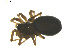 ( - BIOUG01891-B02)  @12 [ ] Copyright  G. Blagoev 2011 Unspecified
