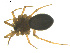  ( - BIOUG01891-B03)  @13 [ ] Copyright  G. Blagoev 2011 Unspecified