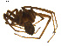  ( - BIOUG01891-C06)  @12 [ ] Copyright  G. Blagoev 2011 Unspecified