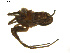  ( - BIOUG01891-C07)  @12 [ ] Copyright  G. Blagoev 2011 Unspecified