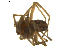 ( - BIOUG01891-C08)  @12 [ ] Copyright  G. Blagoev 2011 Unspecified