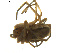  ( - BIOUG01891-C09)  @12 [ ] Copyright  G. Blagoev 2011 Unspecified
