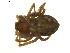  ( - BIOUG01891-C10)  @12 [ ] Copyright  G. Blagoev 2011 Unspecified