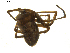  ( - BIOUG01891-C11)  @12 [ ] Copyright  G. Blagoev 2011 Unspecified