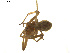  ( - BIOUG01891-C12)  @12 [ ] Copyright  G. Blagoev 2011 Unspecified