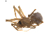  ( - BIOUG01891-E08)  @13 [ ] Copyright  G. Blagoev 2011 Unspecified