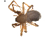  ( - BIOUG01891-E11)  @13 [ ] Copyright  G. Blagoev 2011 Unspecified