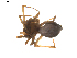  ( - BIOUG01891-E12)  @13 [ ] Copyright  G. Blagoev 2011 Unspecified