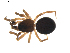  ( - BIOUG01891-G06)  @13 [ ] Copyright  G. Blagoev 2011 Unspecified