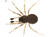  ( - BIOUG01891-G07)  @13 [ ] Copyright  G. Blagoev 2011 Unspecified