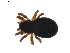 ( - BIOUG01891-G10)  @12 [ ] Copyright  G. Blagoev 2011 Unspecified