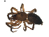  ( - BIOUG01891-G11)  @13 [ ] Copyright  G. Blagoev 2011 Unspecified