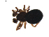  ( - BIOUG01891-G12)  @12 [ ] Copyright  G. Blagoev 2011 Unspecified