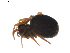  ( - BIOUG01891-H03)  @13 [ ] Copyright  G. Blagoev 2011 Unspecified