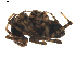  ( - BIOUG01891-H10)  @12 [ ] Copyright  G. Blagoev 2011 Unspecified