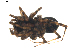  ( - BIOUG01892-A01)  @12 [ ] Copyright  G. Blagoev 2011 Unspecified