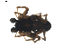  ( - BIOUG01892-A03)  @12 [ ] Copyright  G. Blagoev 2011 Unspecified